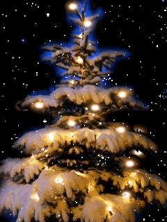 Tranhto24h: Hình nền Noel động, 240x320px