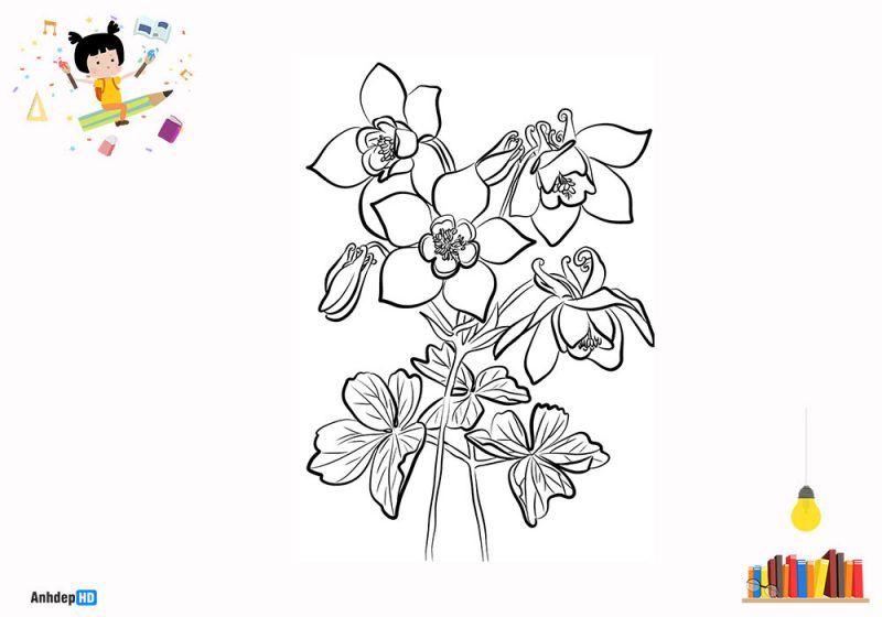 Tranhto24h: Tranh tô màu bông hoa, 800x560px